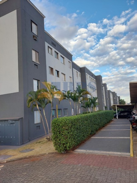 Apartamento - JARDIM MARCHESI - Ribeirão Preto